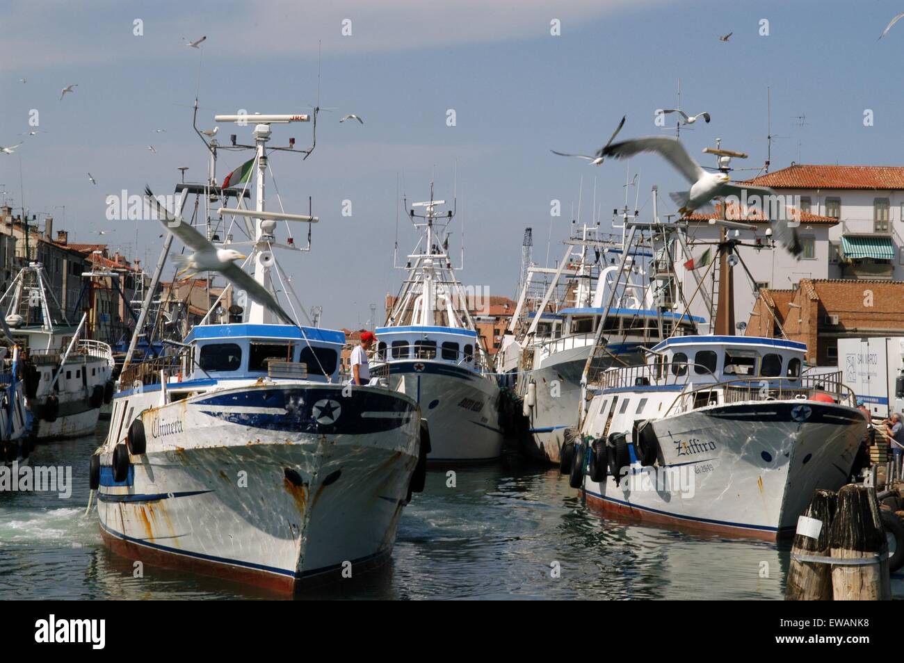 Landeplatz der Angelboote/Fischerboote in Chioggia, Lagunenstadt südlich von Venedig (Italien) Stockfoto
