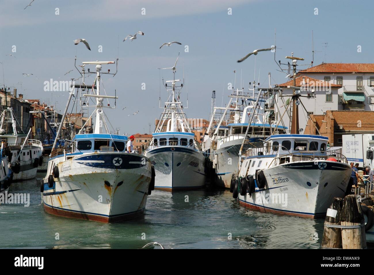 Landeplatz der Angelboote/Fischerboote in Chioggia, Lagunenstadt südlich von Venedig (Italien) Stockfoto