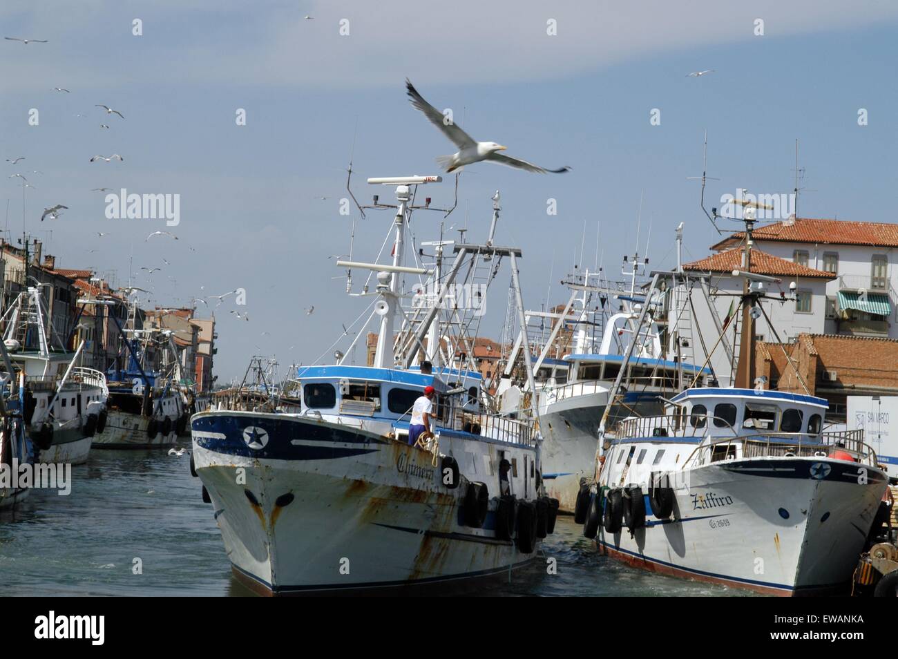 Landeplatz der Angelboote/Fischerboote in Chioggia, Lagunenstadt südlich von Venedig (Italien) Stockfoto