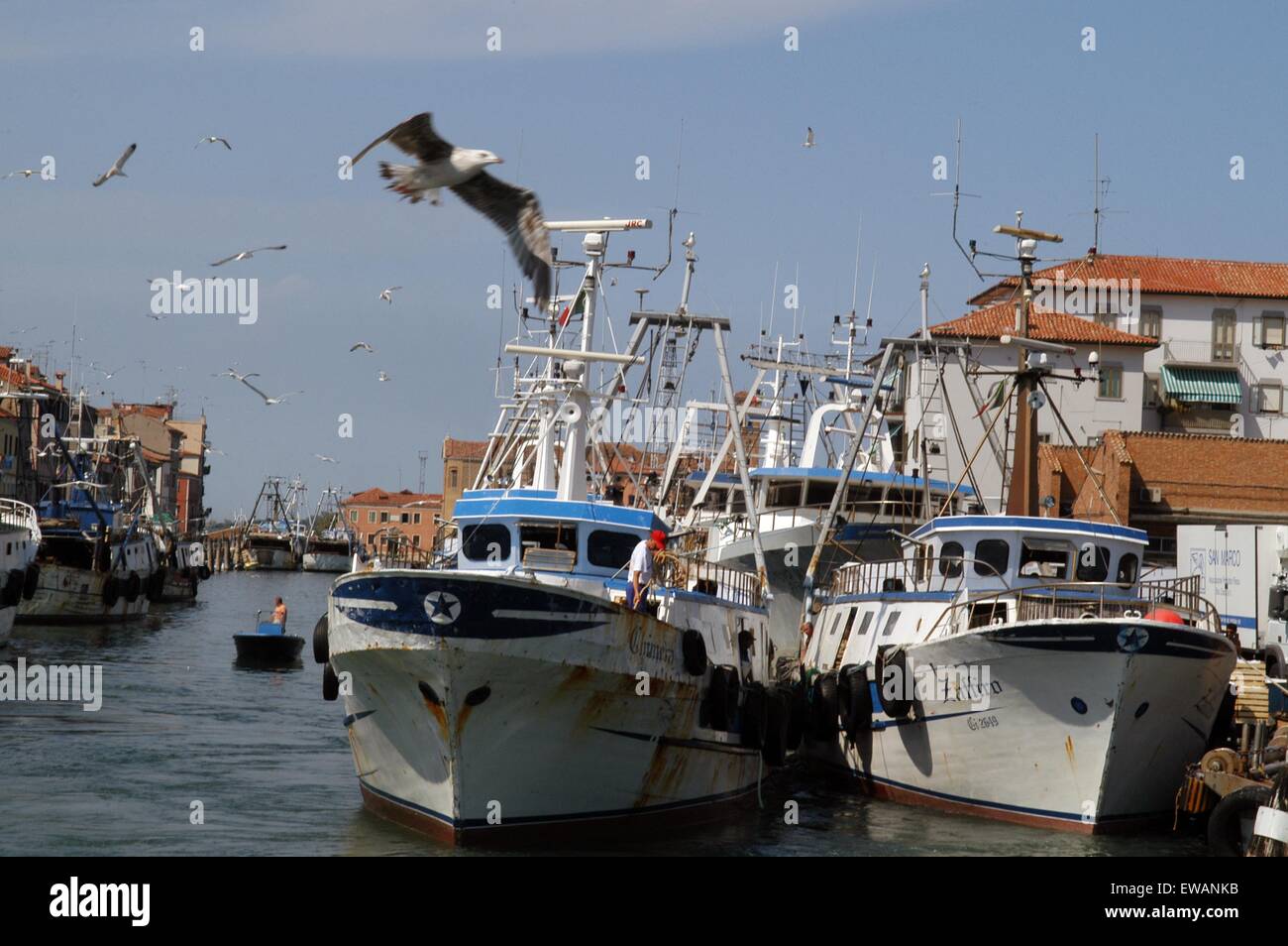 Landeplatz der Angelboote/Fischerboote in Chioggia, Lagunenstadt südlich von Venedig (Italien) Stockfoto