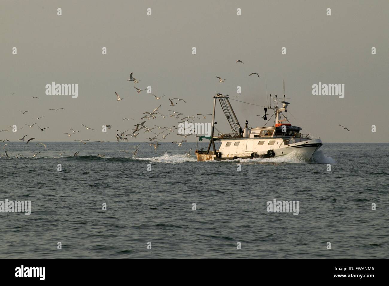 Angelboot/Fischerboot in Chioggia, Lagunenstadt südlich von Venedig (Italien) Stockfoto