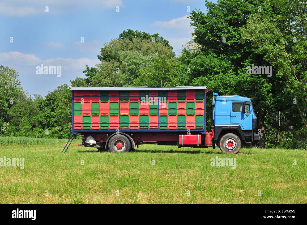Mobilen Bienenstand in Wiese geparkt Stockfoto