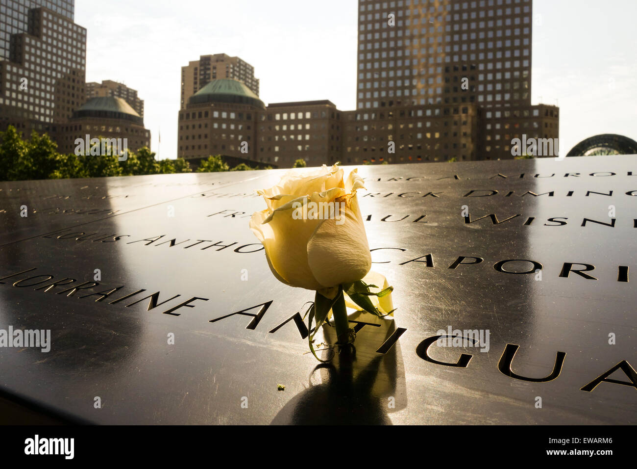Namen eingraviert in Bronzetafeln mit Rose am National September 11 Memorial & Museum in New York City, USA. Stockfoto