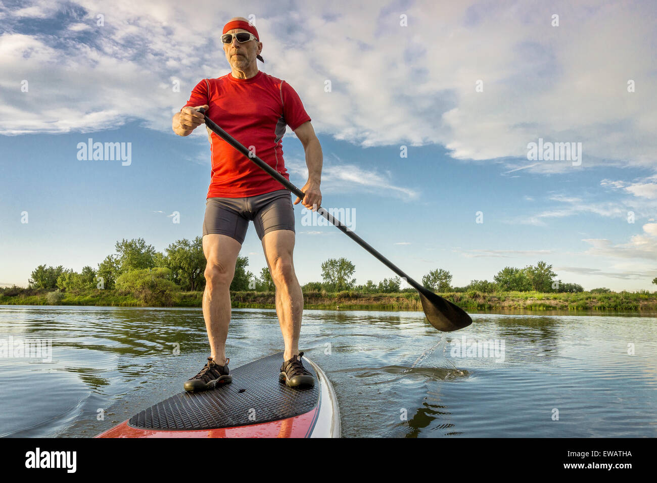 Senior muskulösen männlichen Paddler Paddeln auf Stand up Paddleboard, ruhiger See in Sommerlandschaft genießen Stockfoto