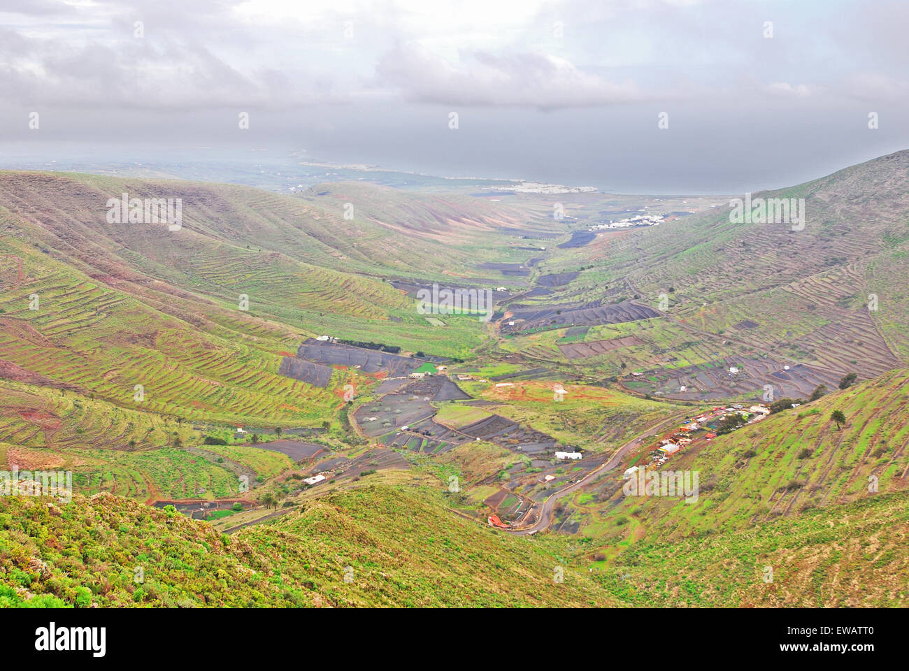 Lanzarote, Kanarische Inseln, Spanien. Ein Blick von einem Berg zu einem fruchtbaren, grünen Tal mit Plantagen auf den Hügeln und kleinen h Stockfoto