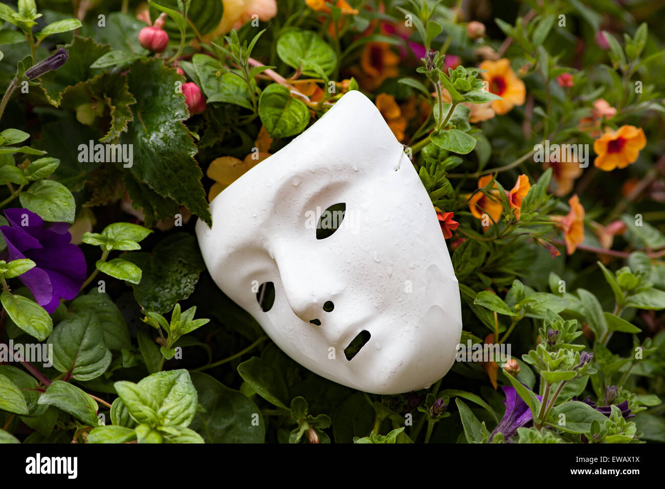 Eine weiße Maske liegen in einem floralen Pflanzer in Donegall Square North, Belfast Stockfoto