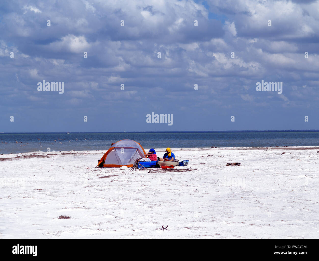 Paar camping mit Kajaks am Strand Anclote Schlüssel Preserve State Park North End Tarpon Springs Florida USA Stockfoto