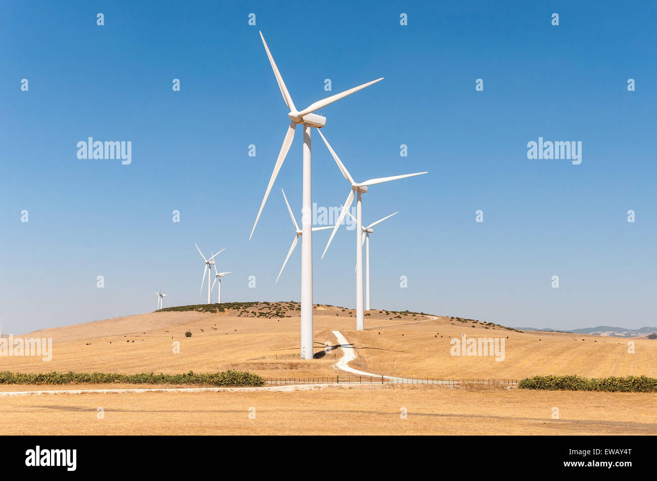 Windmühlen zur Stromerzeugung in der Region Andalusien in Spanien
