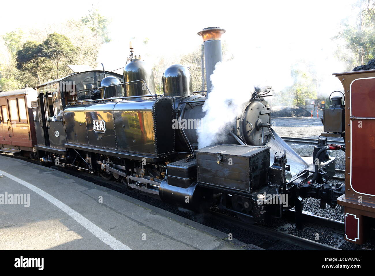 Puffing Billy Steam Train bei Dandenong reicht Victoria Australia Stockfoto