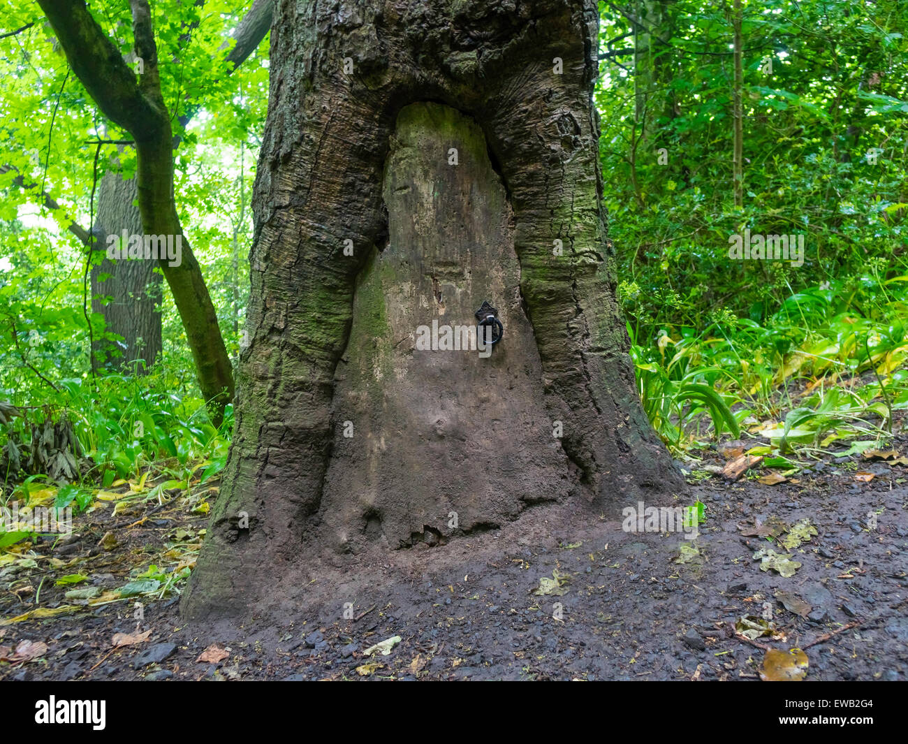 Fairy Tree Door Stockfotos Fairy Tree Door Bilder Seite