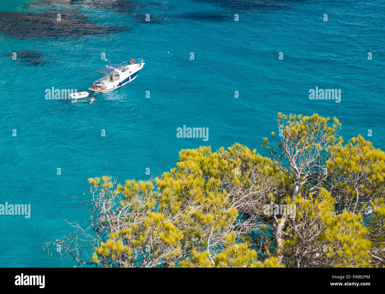 Yacht, Meer und Pinien in Cala Macarella, Menorca, Spanien. Stockfoto