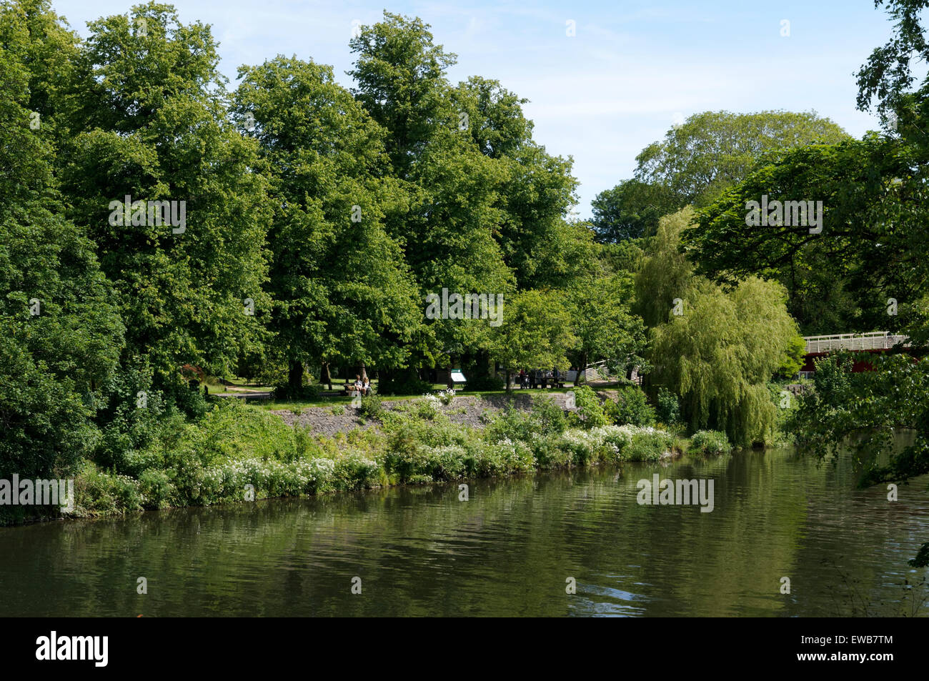 Fluß Taff, Bute Park, Cardiff, Südwales, UK. Stockfoto