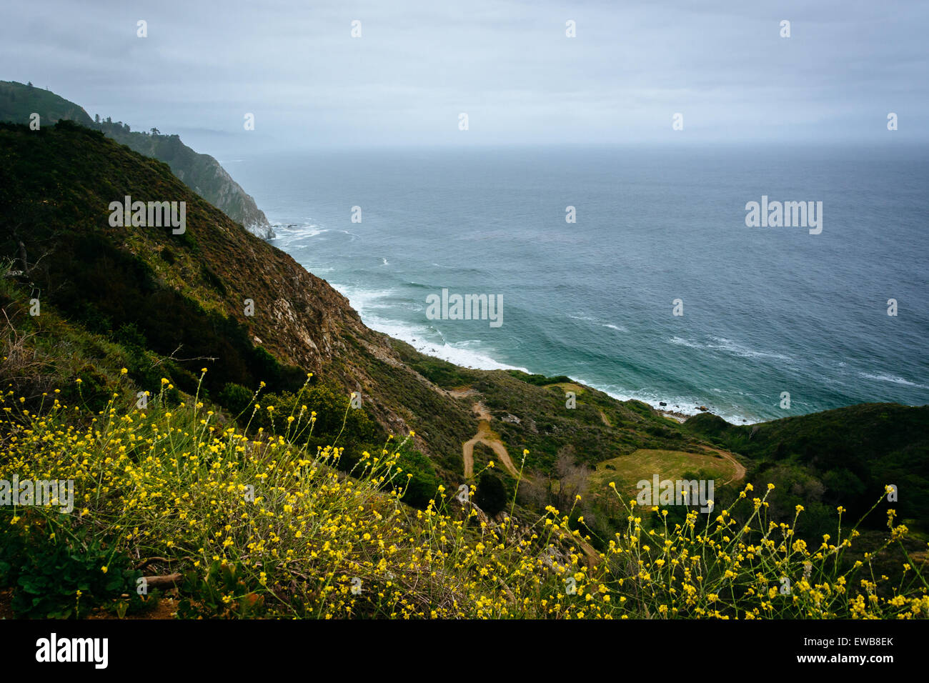 Gelben Blüten und Blick auf den Pazifischen Ozean in Big Sur, Kalifornien. Stockfoto