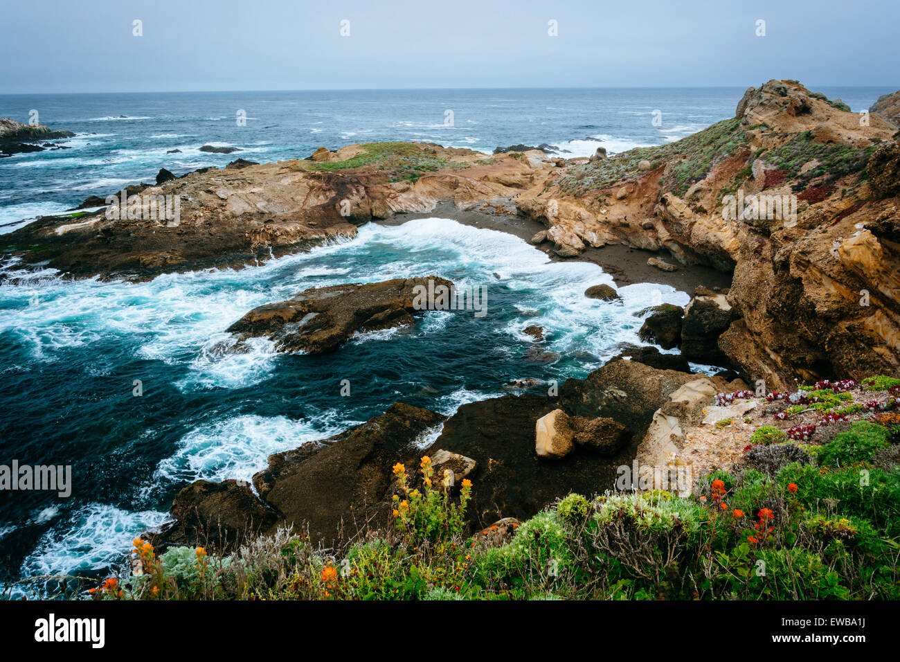 Blick auf eine Bucht am Point Lobos State Natural Reserve, in Carmel, Kalifornien. Stockfoto
