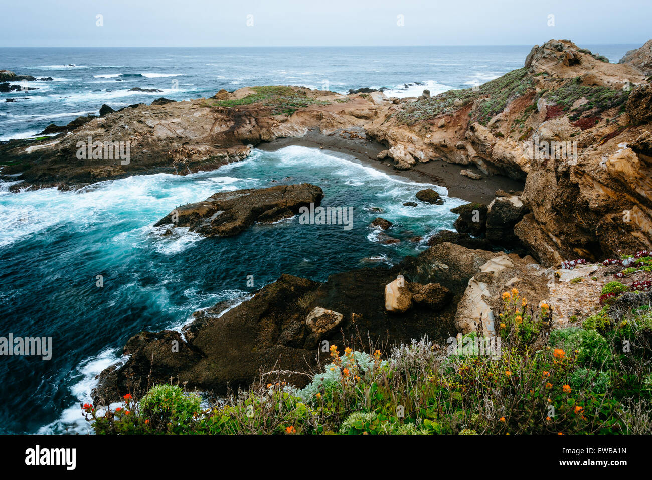 Blick auf eine Bucht am Point Lobos State Natural Reserve, in Carmel, Kalifornien. Stockfoto
