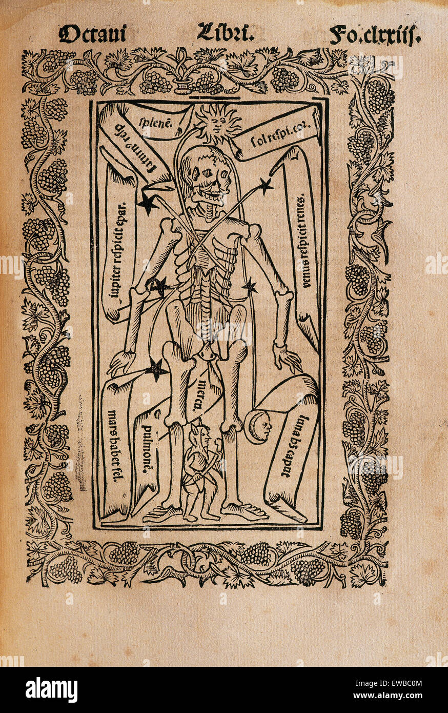 Ramon Llull (1235-1316). Spanischer Schriftsteller und Philosoph.  Practica Compendiosa Artis Raymundi Lulli, 1523. Buch 8. Medizin-Thema. Beschreibung des menschlichen Skeletts. Stockfoto