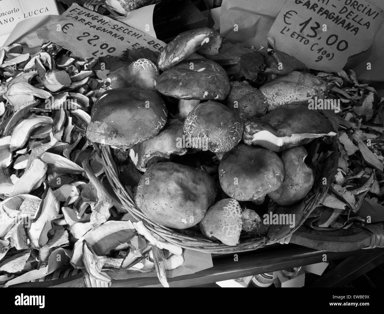 Funghi (Pilze) für den Verkauf außerhalb Shop in Italien Stockfoto
