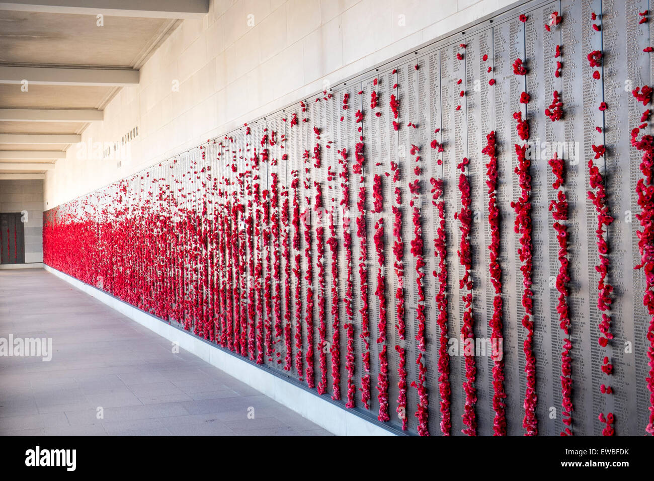 Ehrentafel mit Mohn und Namen von Soldaten, die in verschiedenen Kriegen am Australian War Memorial in Canberra, ACT umgekommen sind Stockfoto