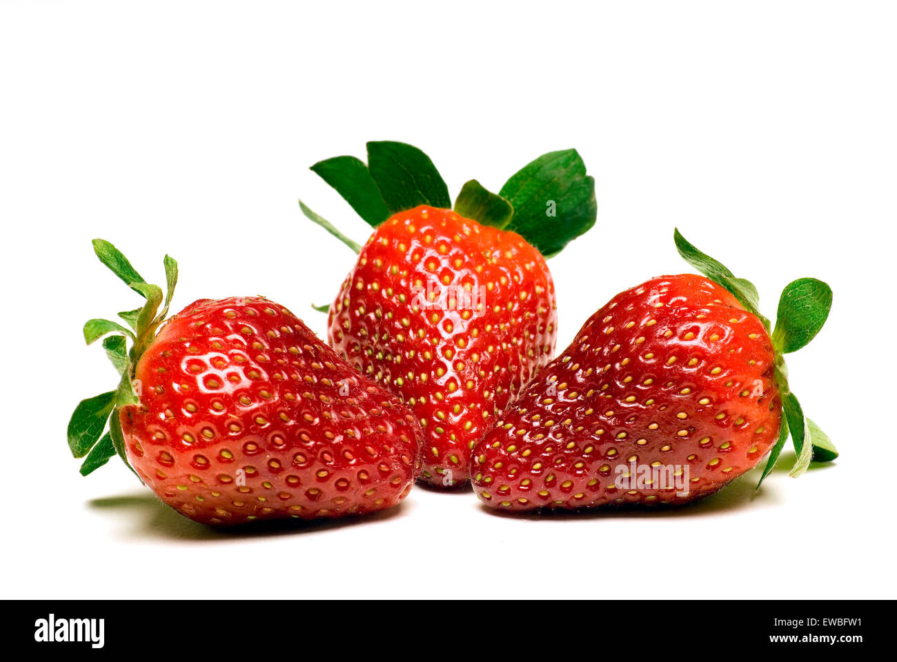 Frischen und saftige Erdbeeren bereit, Makro Essen am weißen Backgrond erschossen Stockfoto