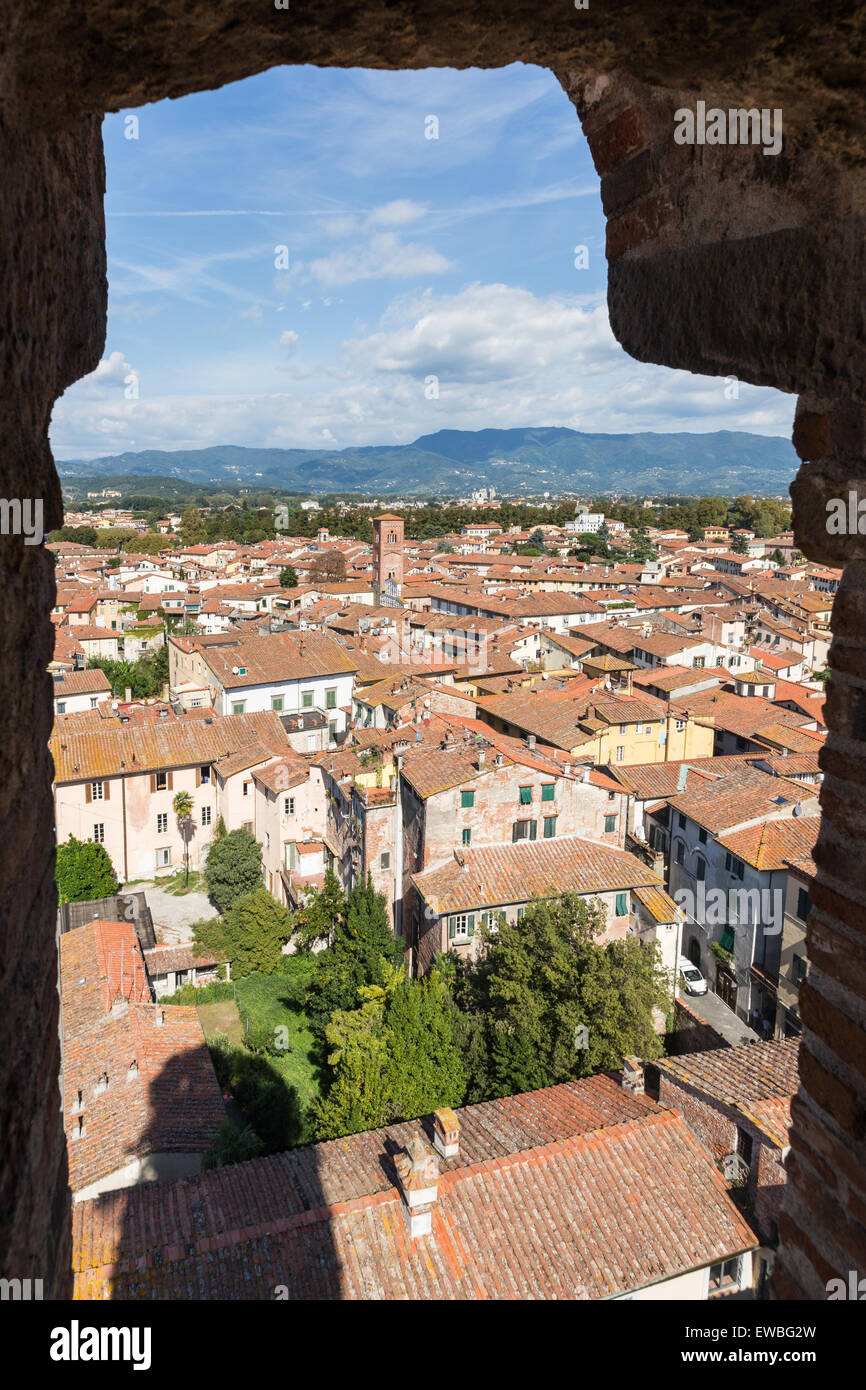 Blick von der Torre Guinigi, berühmten Turm mit eigenem Dachgarten Stockfoto