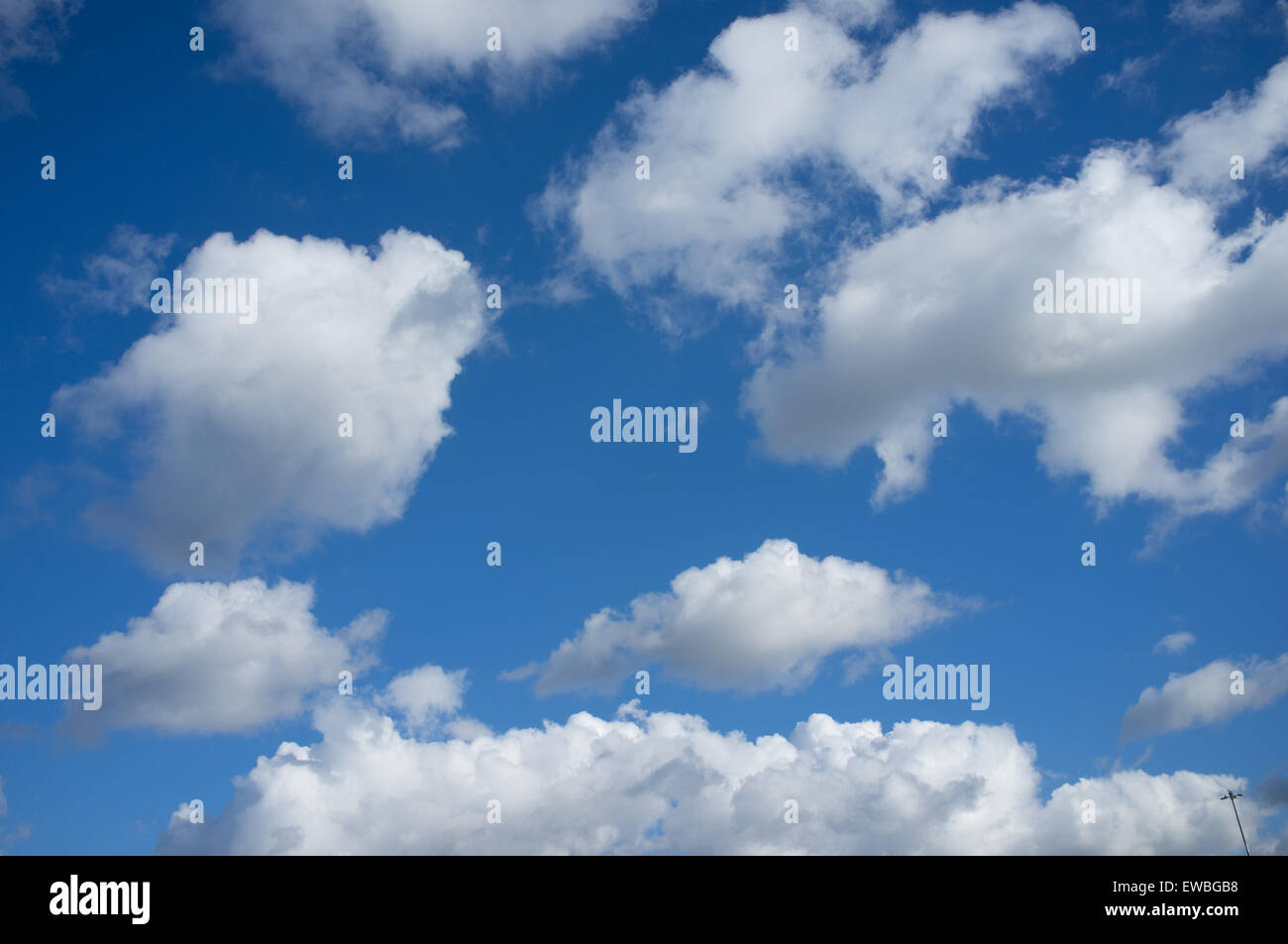Blauer Himmel mit flauschigen weißen Cumulus-Wolken über Rücken Stockfoto