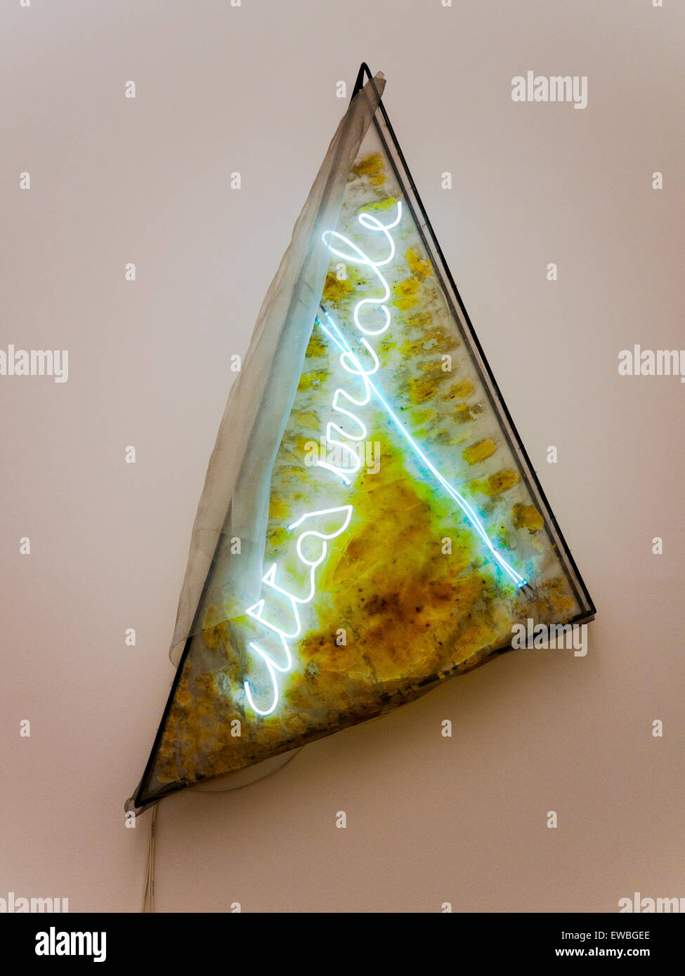 Citta' Irreale 1968-1969 Mario Merz (Mailand, 1925 - Turin 2003) Metall, synthetische Gaze, Bienenwachs, Neon tube Stedelijk Museum - Amsterdam, Niederlande Stockfoto