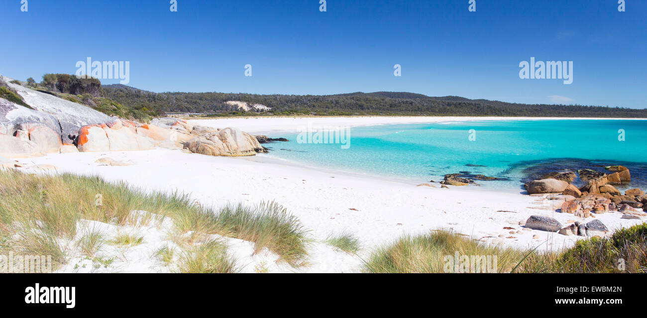 Weiße Sand und das türkisfarbene Wasser an einem schönen Strand entlang der Bay of Fires Küste in Nord-Ost-Tasmanien, Australien Stockfoto