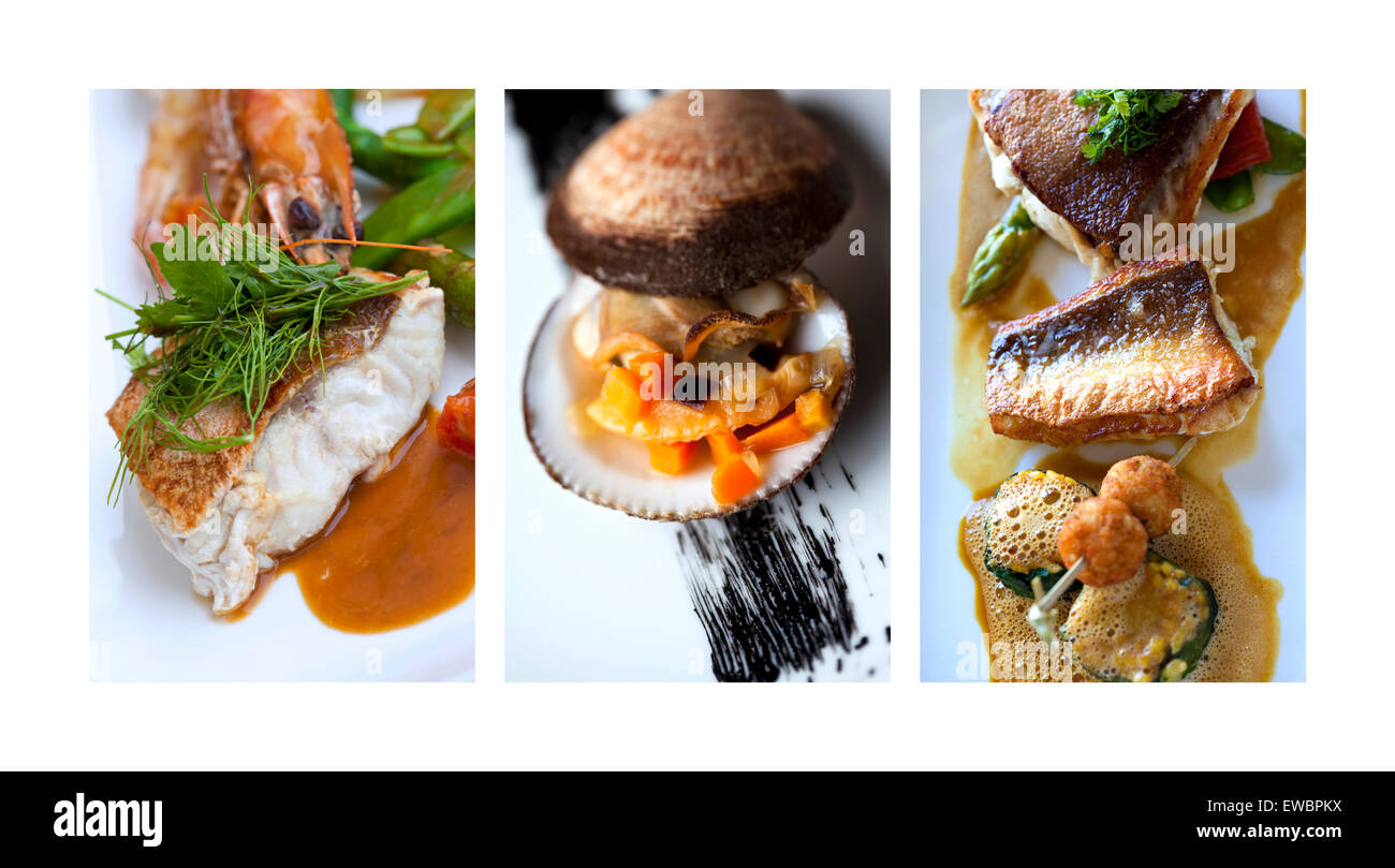 Gericht und Meer Fischfutter auf einer collage Stockfoto