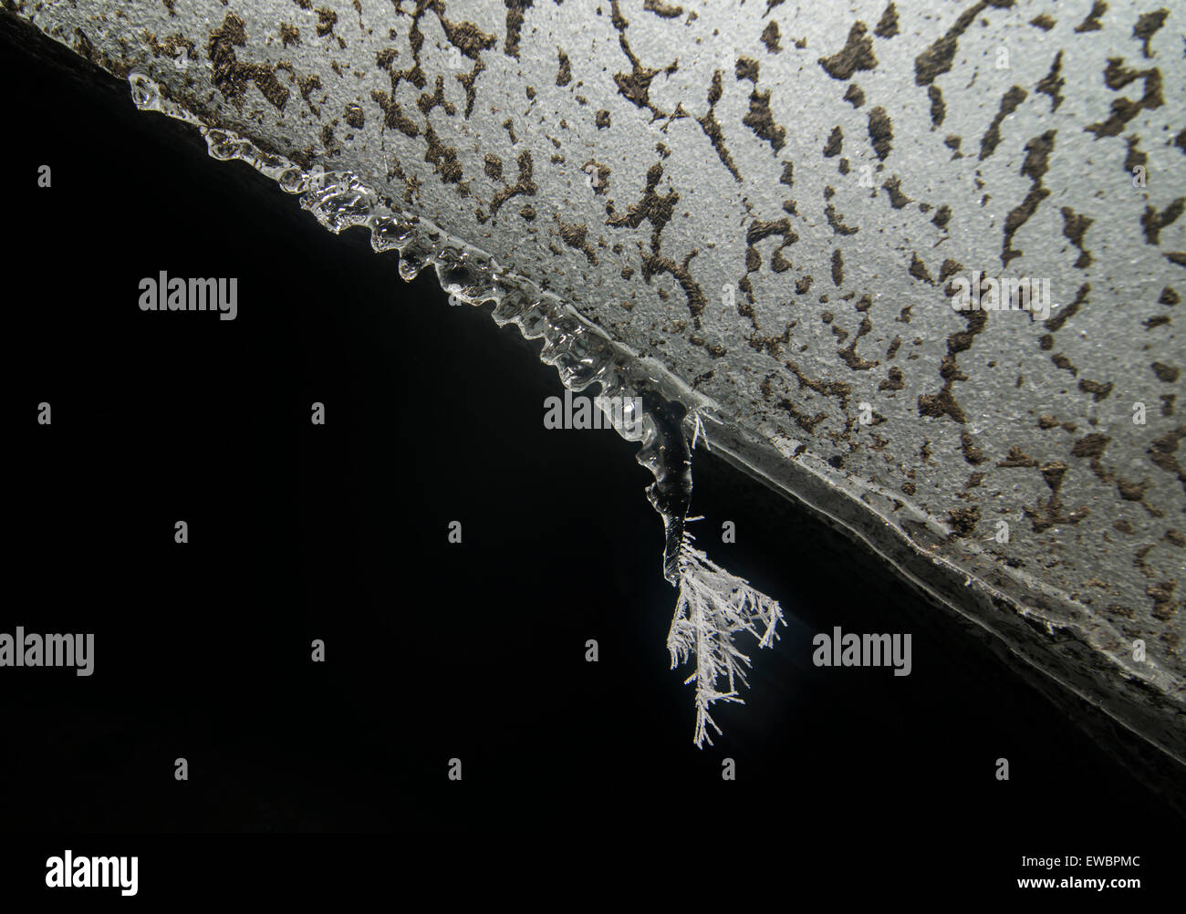 Ein Eiskristall auf einen Eiszapfen bildet tief im Inneren ein Dampfbad Höhle am Mount Erebus, Antarktis. Stockfoto