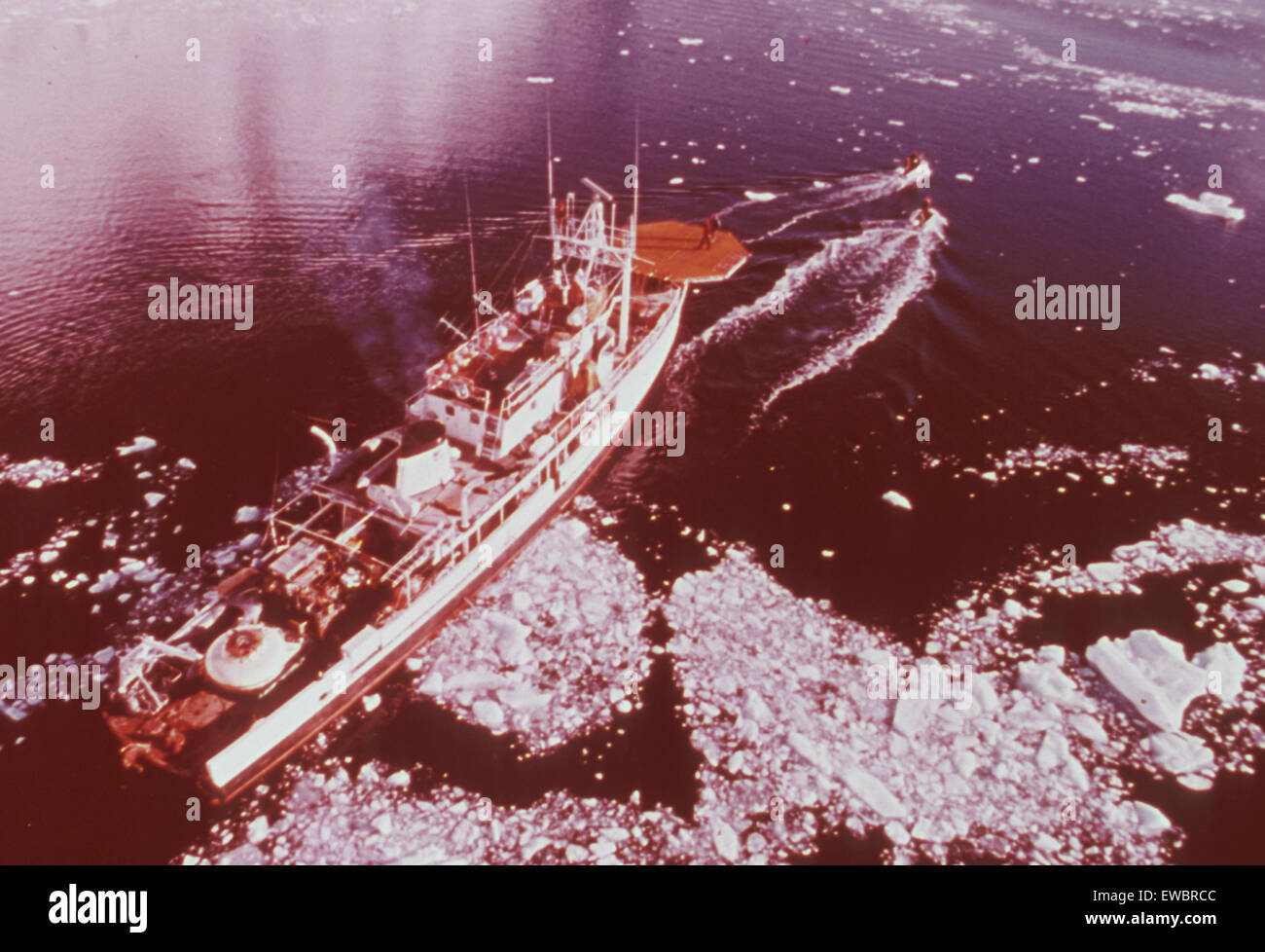 Calypso schiff Fotos und Bildmaterial in hoher Auflösung Alamy