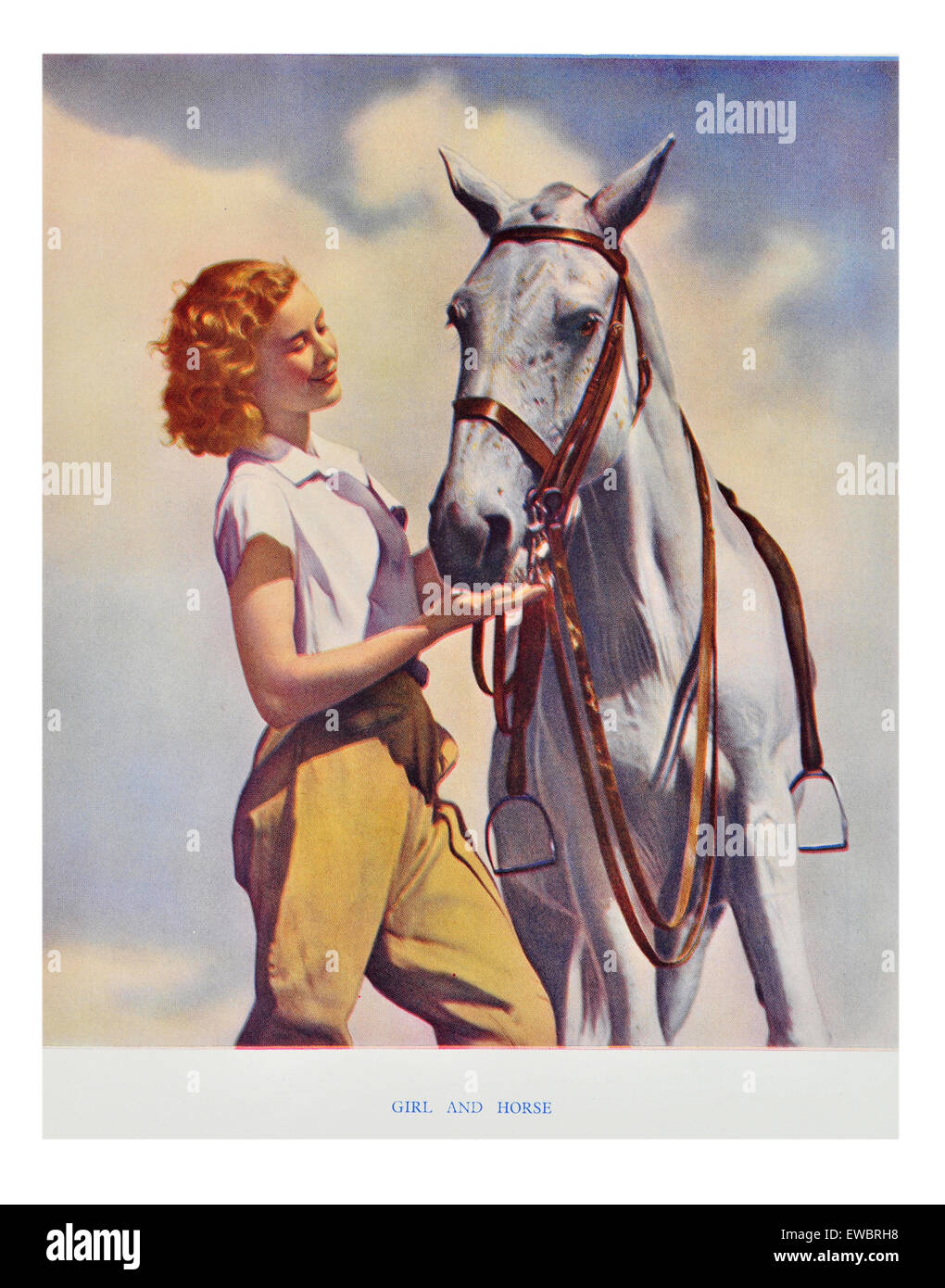 Frau ihr Pferd Fütterung auf einer Fahrt im Sommer Stockfoto
