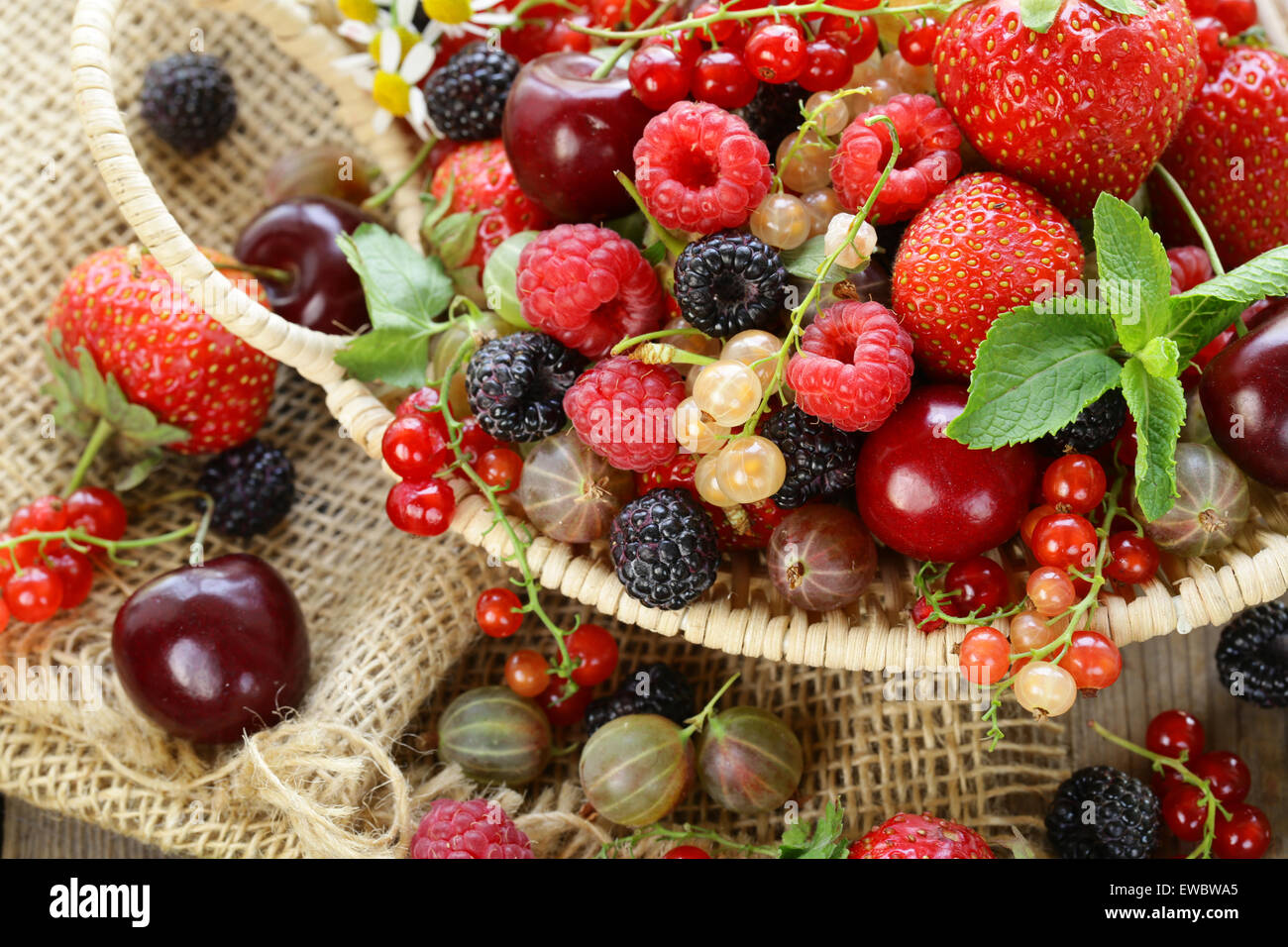Sortierte Sommer Beeren Himbeeren Erdbeeren Kirschen Johannisbeeren Stachelbeeren Stockfoto