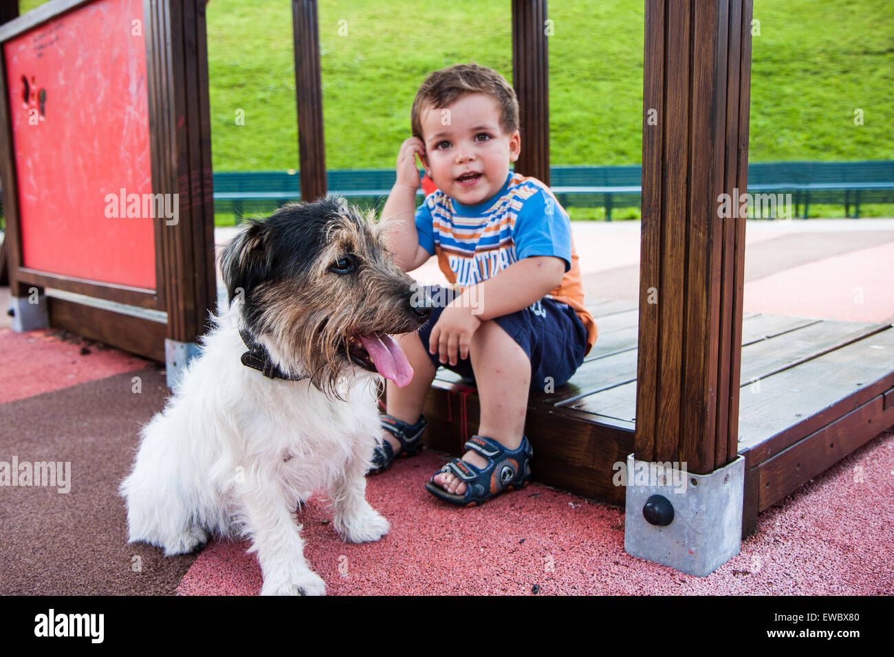 Porträt von Baby mit kleinen Hund auf dem Spielplatz Stockfoto