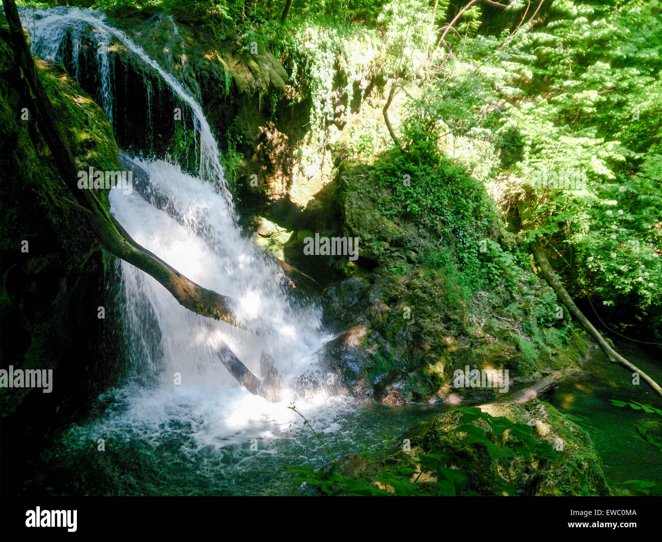 Natur-Landschaft mit Bäumen, Fluss und Wasserfall. Wald-Fluss in Bergen. Unberührte Wildnis. Konzept-Foto der Ruhe Stockfoto
