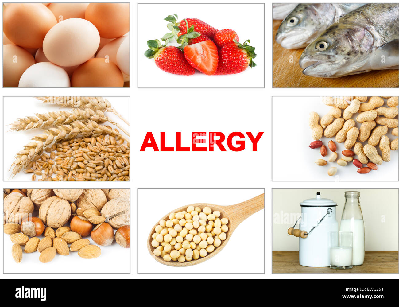 Allergie-Food-Konzept. Nahrungsmittelallergene wie Eiern, Milch, Obst, Baumnüsse, Erdnüsse, Soja, Weizen und Fisch. Text "Allergie" leicht zu entfernen Stockfoto