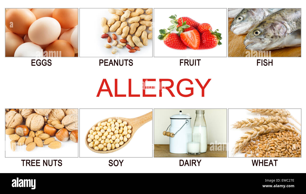 Allergie-Food-Konzept. Nahrungsmittelallergene wie Eiern, Milch, Obst, Baumnüsse, Erdnüsse, Soja, Weizen und Fisch. Stockfoto