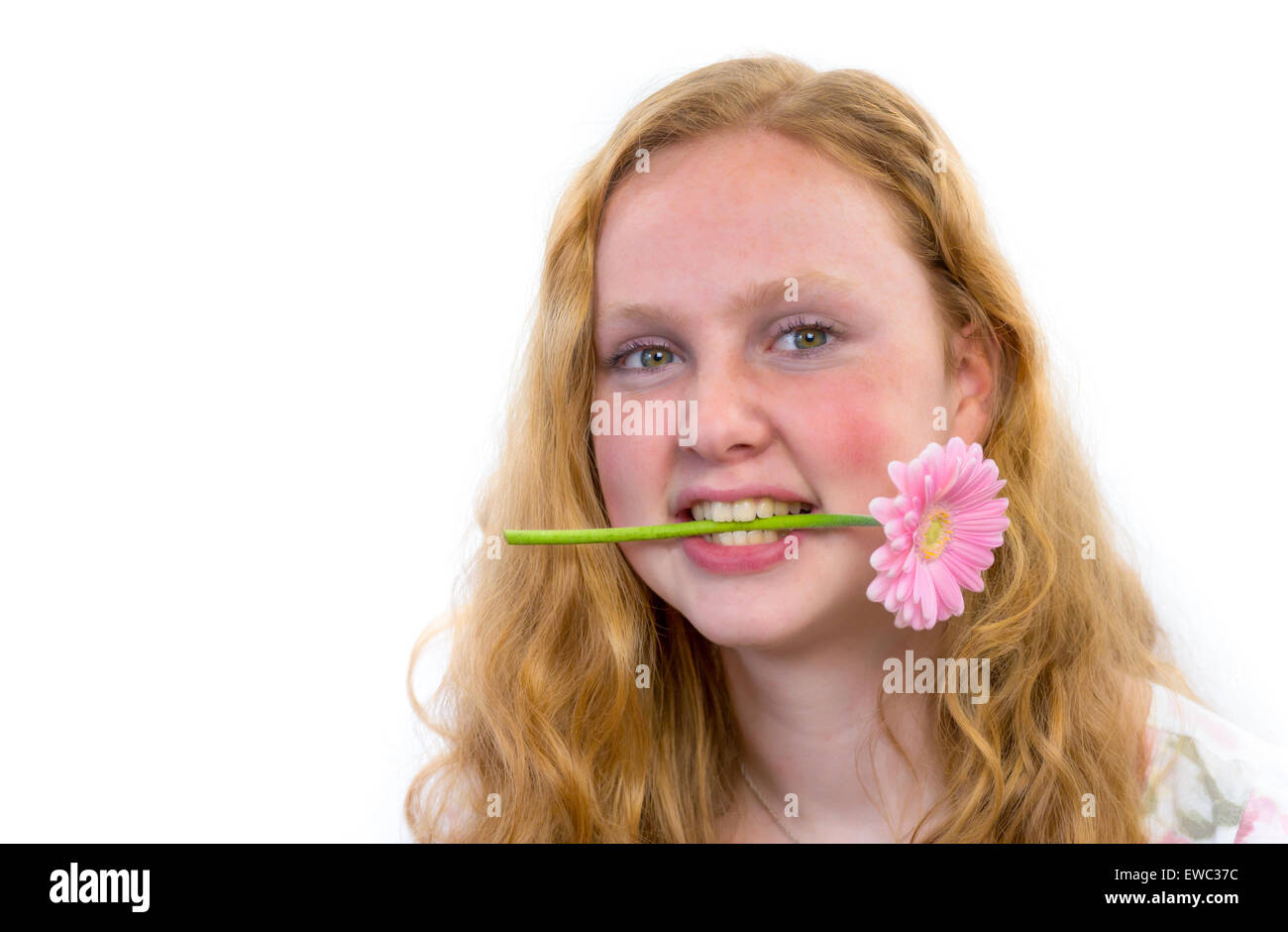 Kaukasische Teenager-Mädchen mit rosa Blume im Mund isoliert auf weißem Hintergrund grau Stockfoto