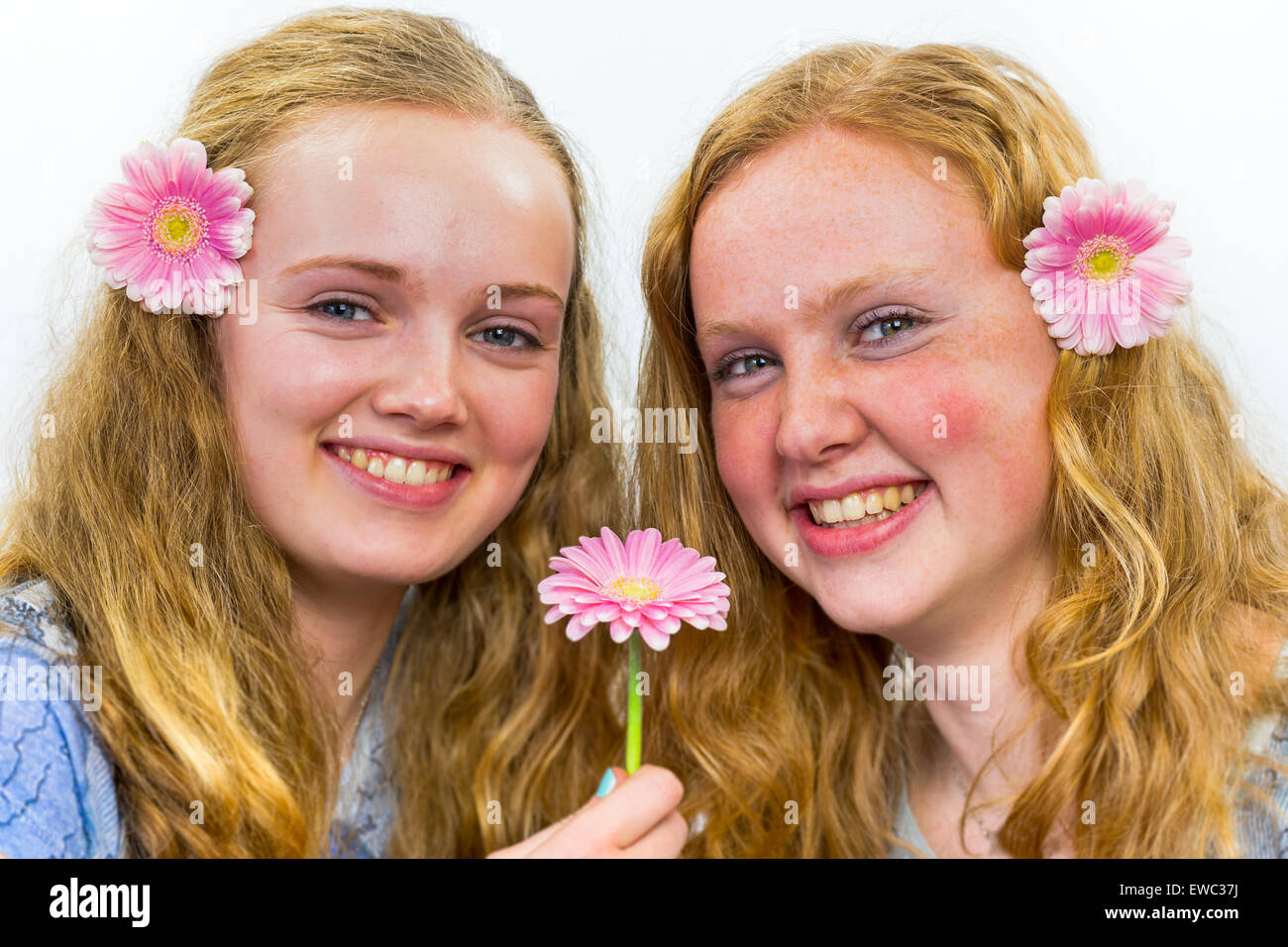 Zwei kaukasische Mädchen im Teenageralter lachend mit rosa Blüten in langen Haaren isoliert auf weißem Hintergrund Stockfoto