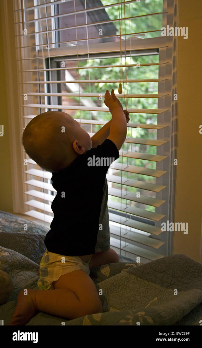 Detroit, Michigan - elften Monat alten Adam Hjermstad Jr. spielt mit der Schnüre an Fenstervorhänge bei seinen Großeltern zu Hause. Stockfoto