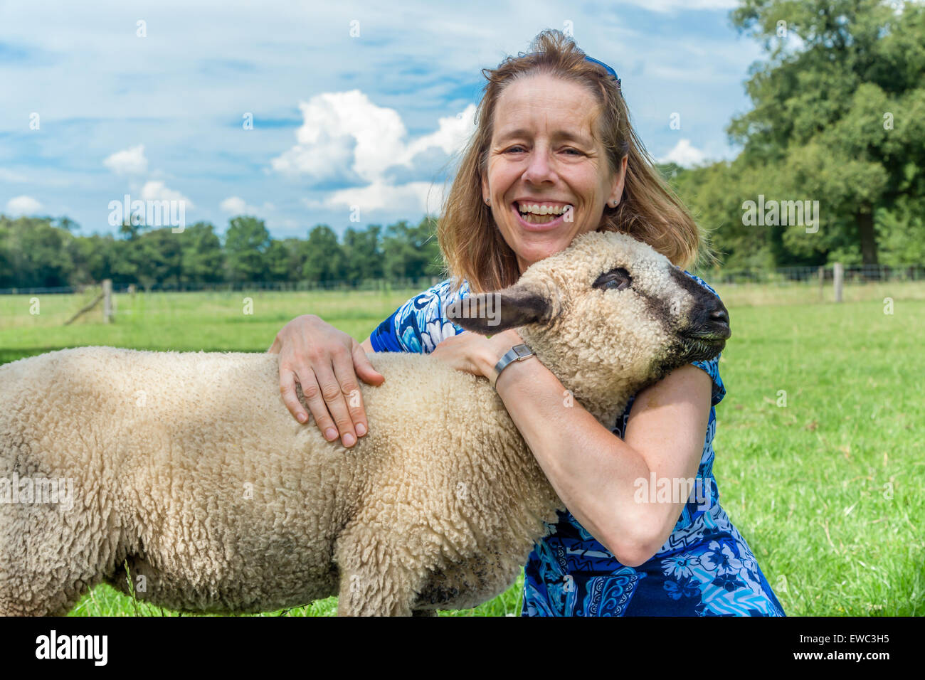 Europäische Frau umarmt und umarmt Schafe auf Weide Stockfoto
