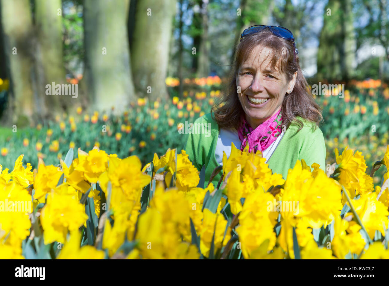 Kaukasische Frau saß hinter gelben Narzissen Blumenfeld im Keukenhof Holland park Stockfoto