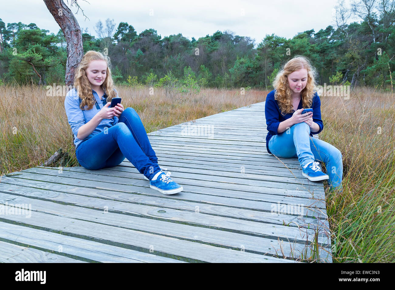 Zwei kaukasische Mädchen im Teenageralter Betrieb Mobiltelefone am Holzweg in der Natur Stockfoto