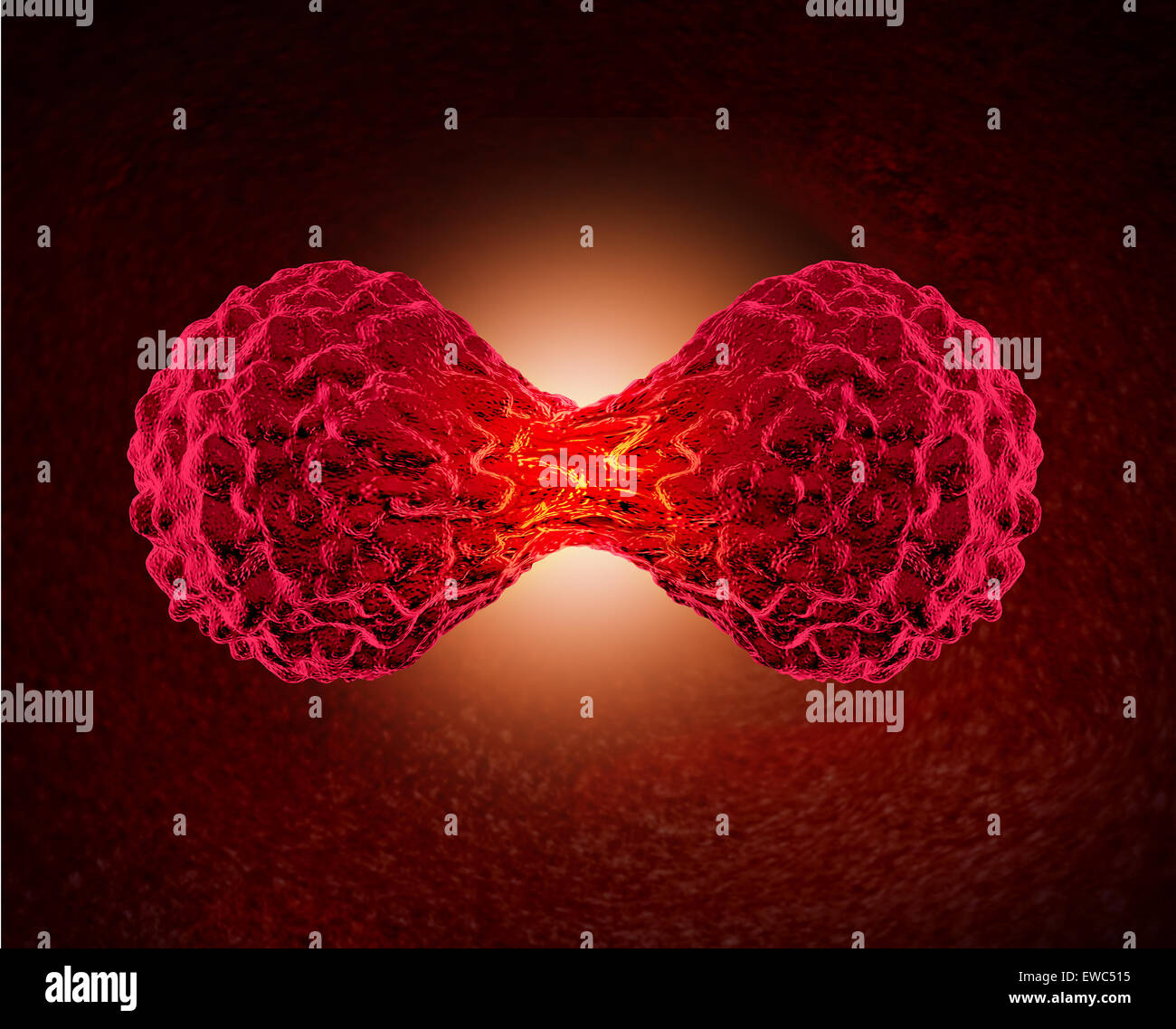 Krebszelle Konzept als mikroskopisch kleine zelluläre Zyklus der Replikation oder Aufteilung der bösartigen Krebszellen im menschlichen Körper als eine medizinische Gesundheitsversorgung und Onkologie Symbol für gefährliche Tumorwachstum trennen. Stockfoto