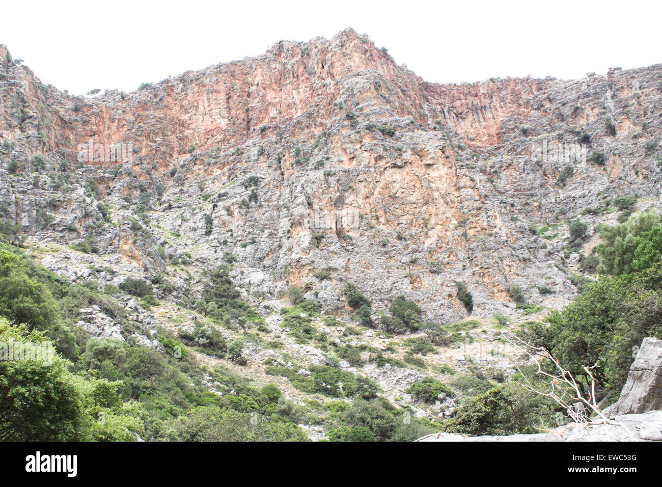 Felsen von der der Aposelemi-Schlucht, wo Gutscheine und seltene Vögel ihren Eiern legen. Stockfoto