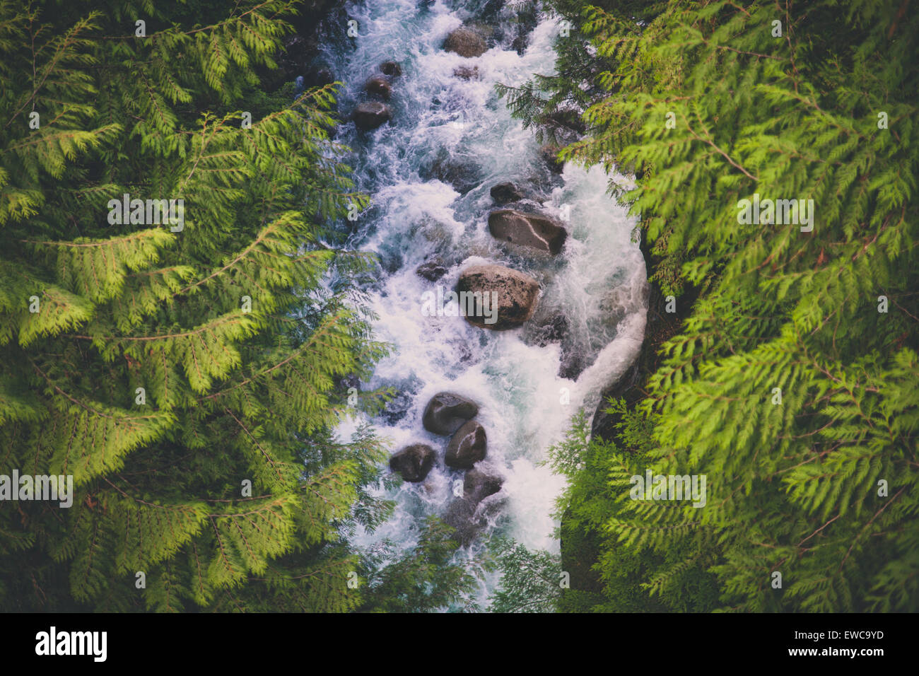 Lynn Creek, North Vancouver, British Columbia, Kanada. Stockfoto