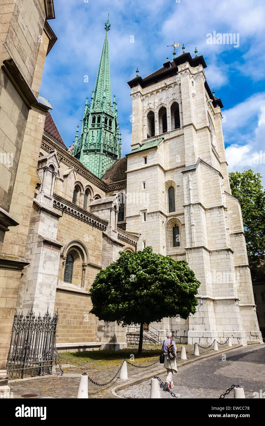 Kathedrale St. Peter-Genf Stockfoto