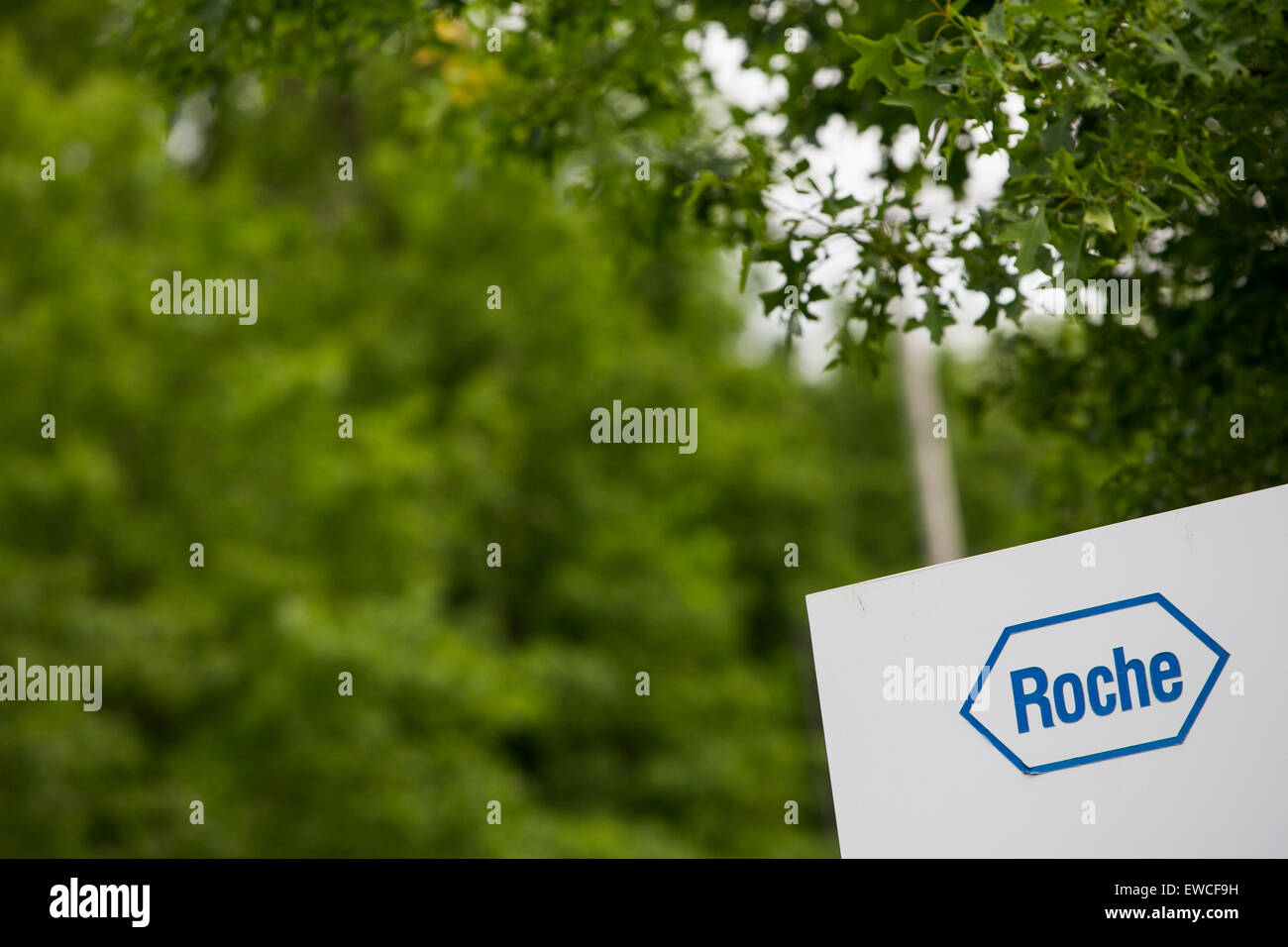 Ein Logo Zeichen außerhalb der Anlage von Roche Molecular Systems in Branchburg, New Jersey besetzt. Stockfoto