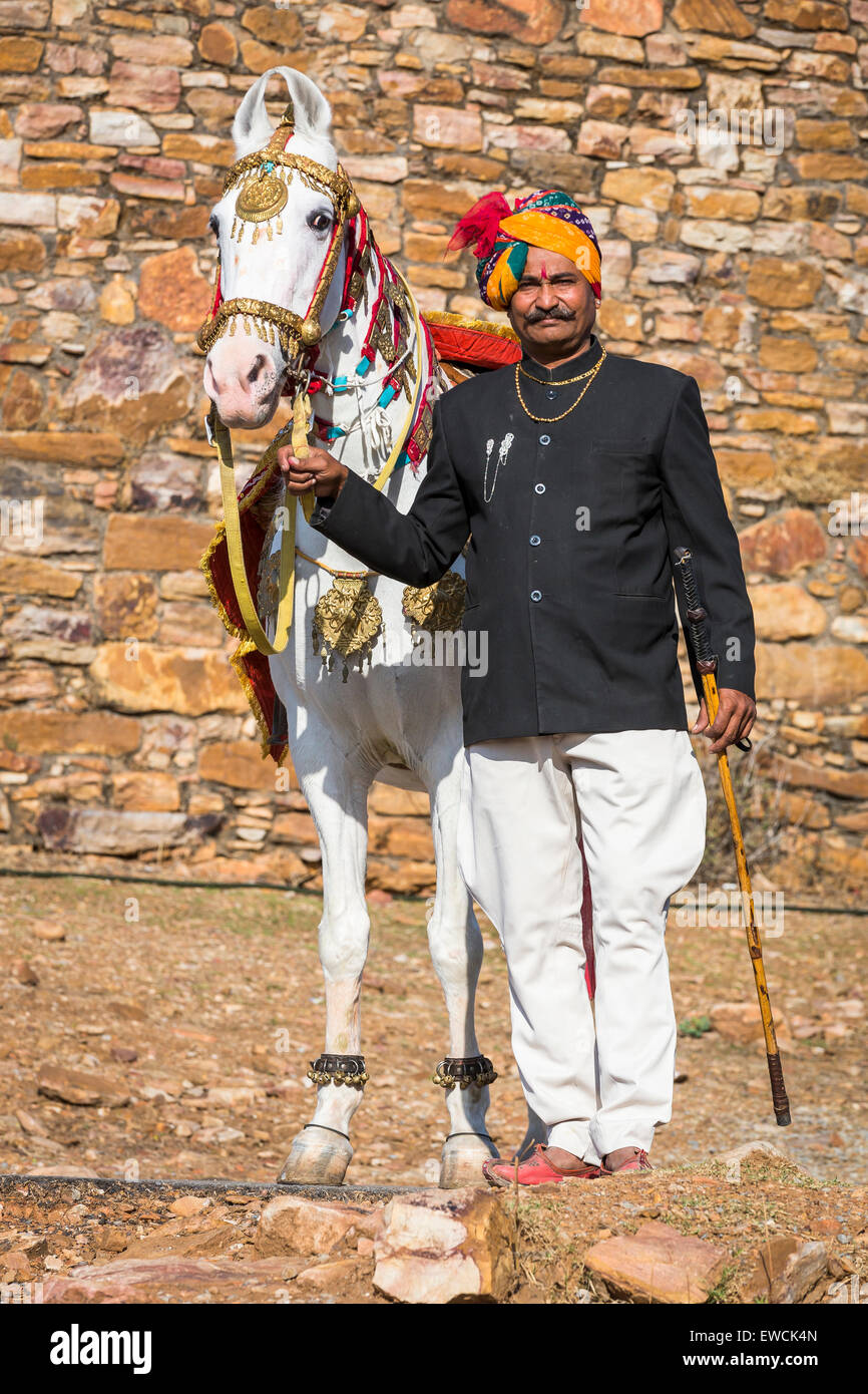 Marwari Pferde. Dominanten weißen Pferd tanzen dekoriert mit bunten Kopfbedeckungen mit seinem stolzen Besitzer. Rajasthan, Indien Stockfoto