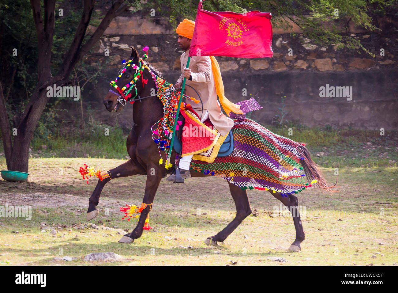 Flag-Lager-Reiter auf einem kunstvoll verzierten Bucht Pferd. Indien Stockfoto