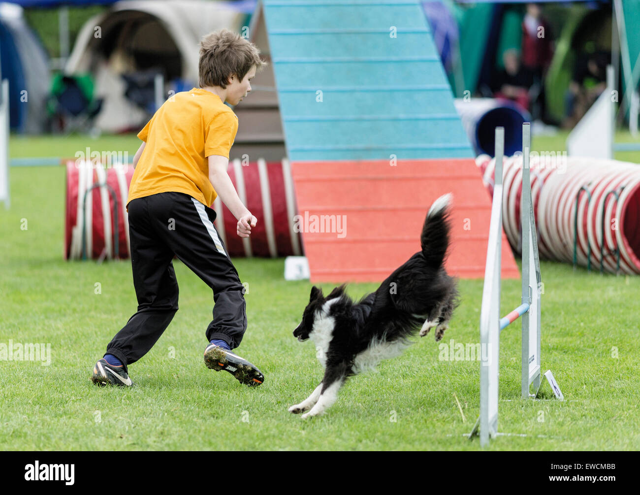 Junge und sein Hund an einem Agility-Wettbewerb teilnehmen. Deutschland Stockfoto